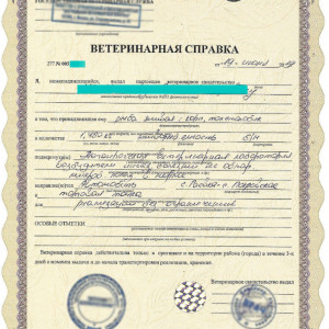 вет. cправка ф.4